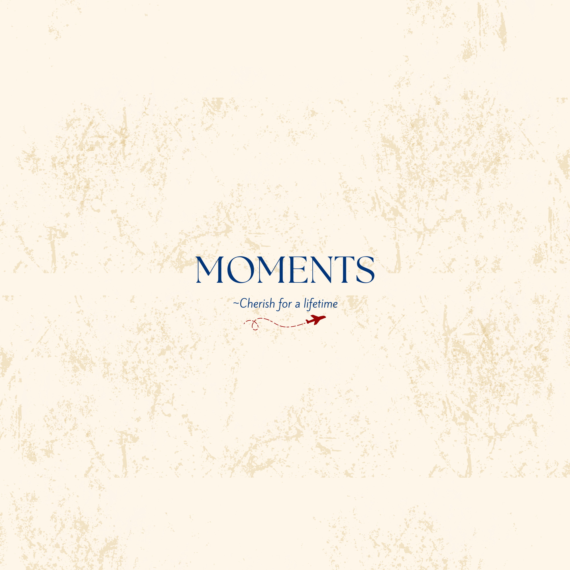 Timeless Travel (Hardcover)