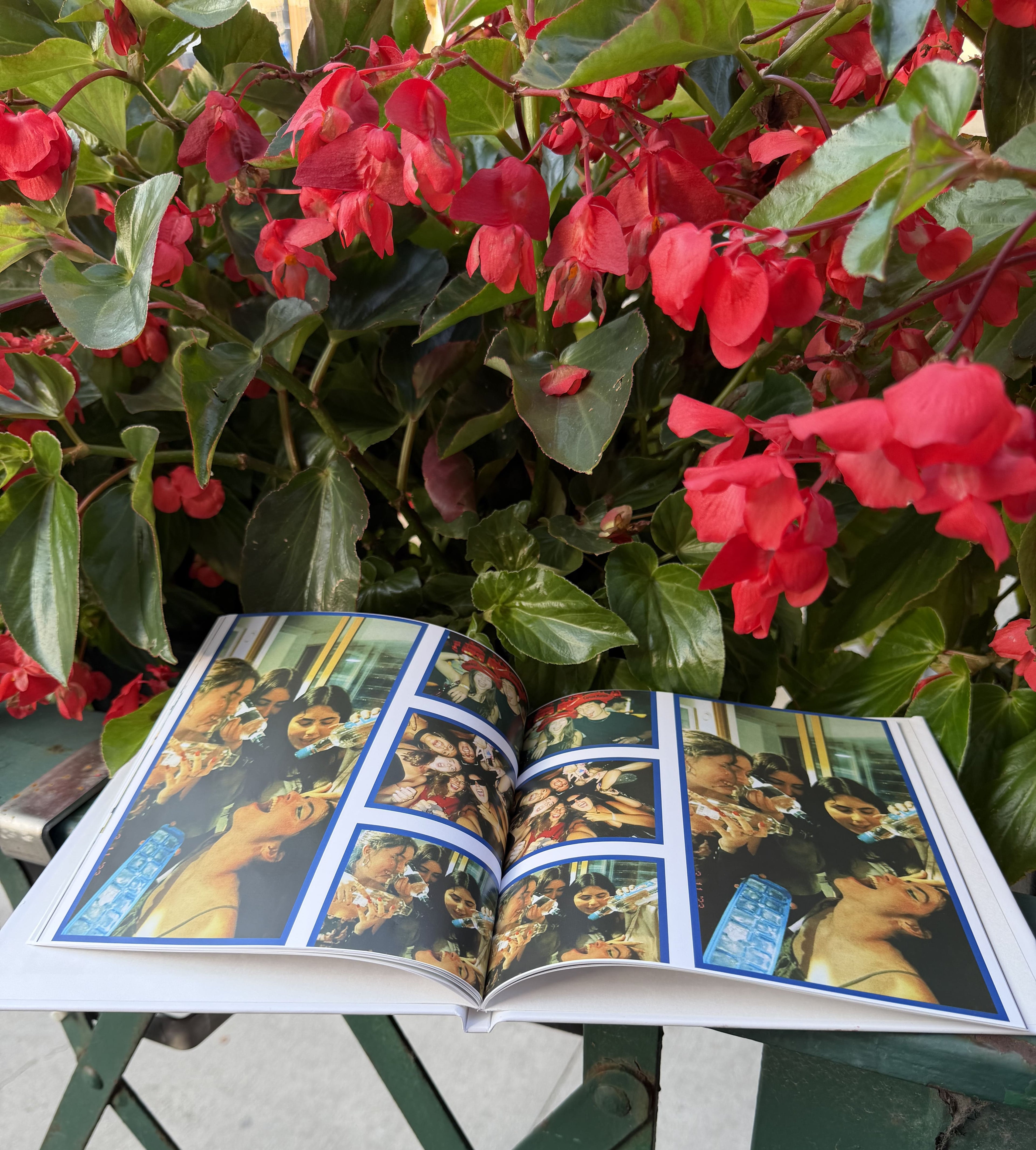 Timeless memories (Hardcover)